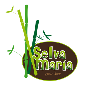 cultivo en exterior e interior de semillas de cannabis